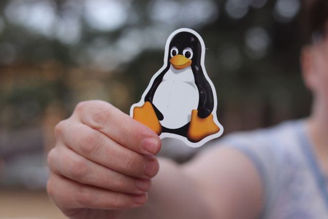 Linux distribution logos: AlmaLinux, Ubuntu Server, Rocky Linux, Debian, and RHEL for server comparison